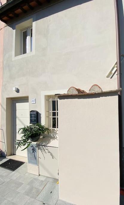 Viaggiare Smart Wi-Fi, Tv Hd, Spazio Di Lavoro, Parcheggio Gratuito Nella Struttura, Capannori Eksteriør billede